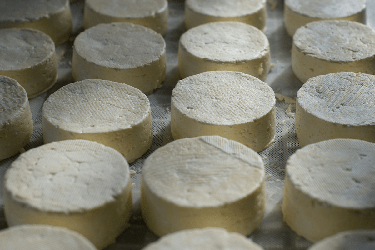 Formaggio innovativo, quale denominazione?