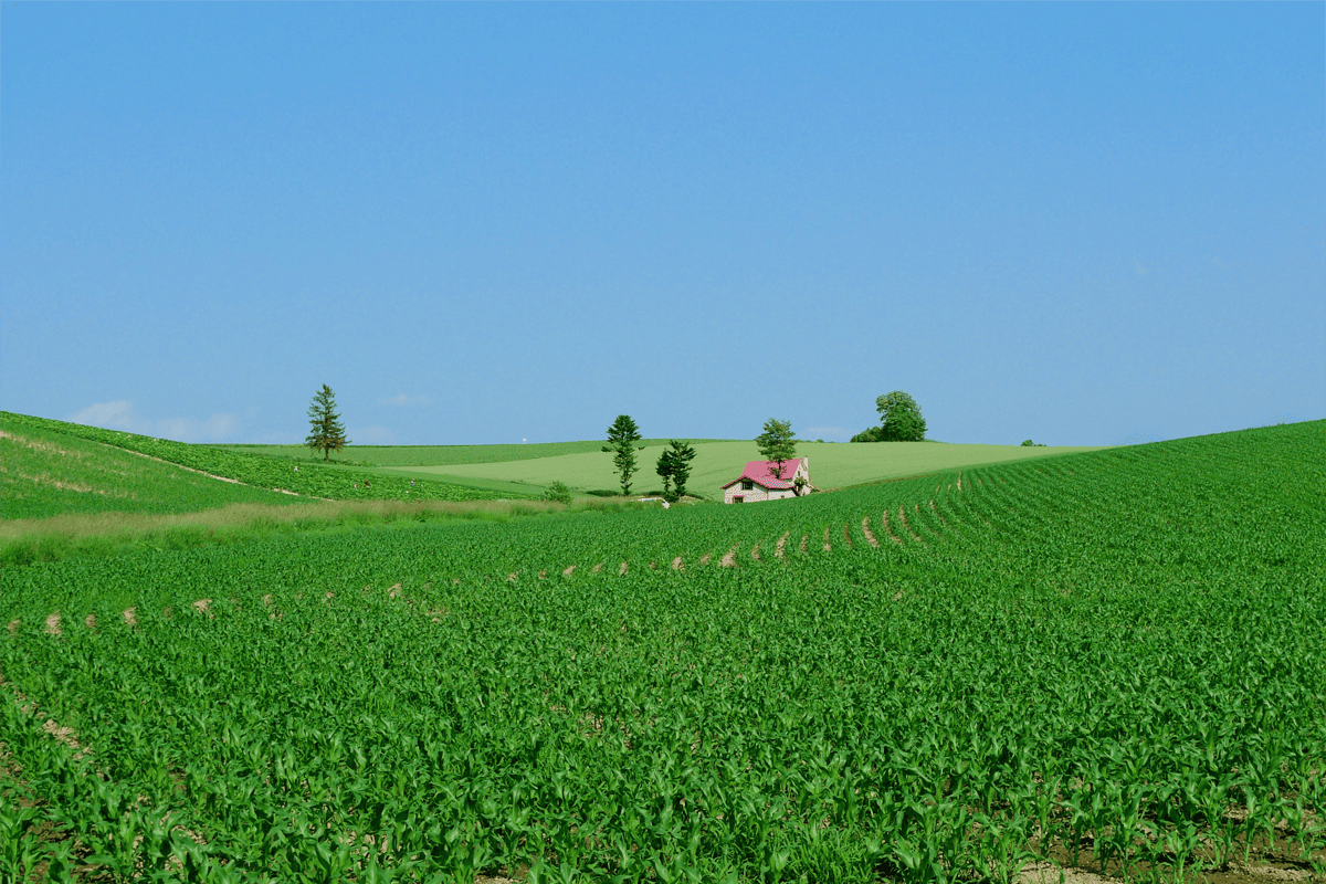 Marchio, qualità superiore, eccellenze regionali in etichetta?