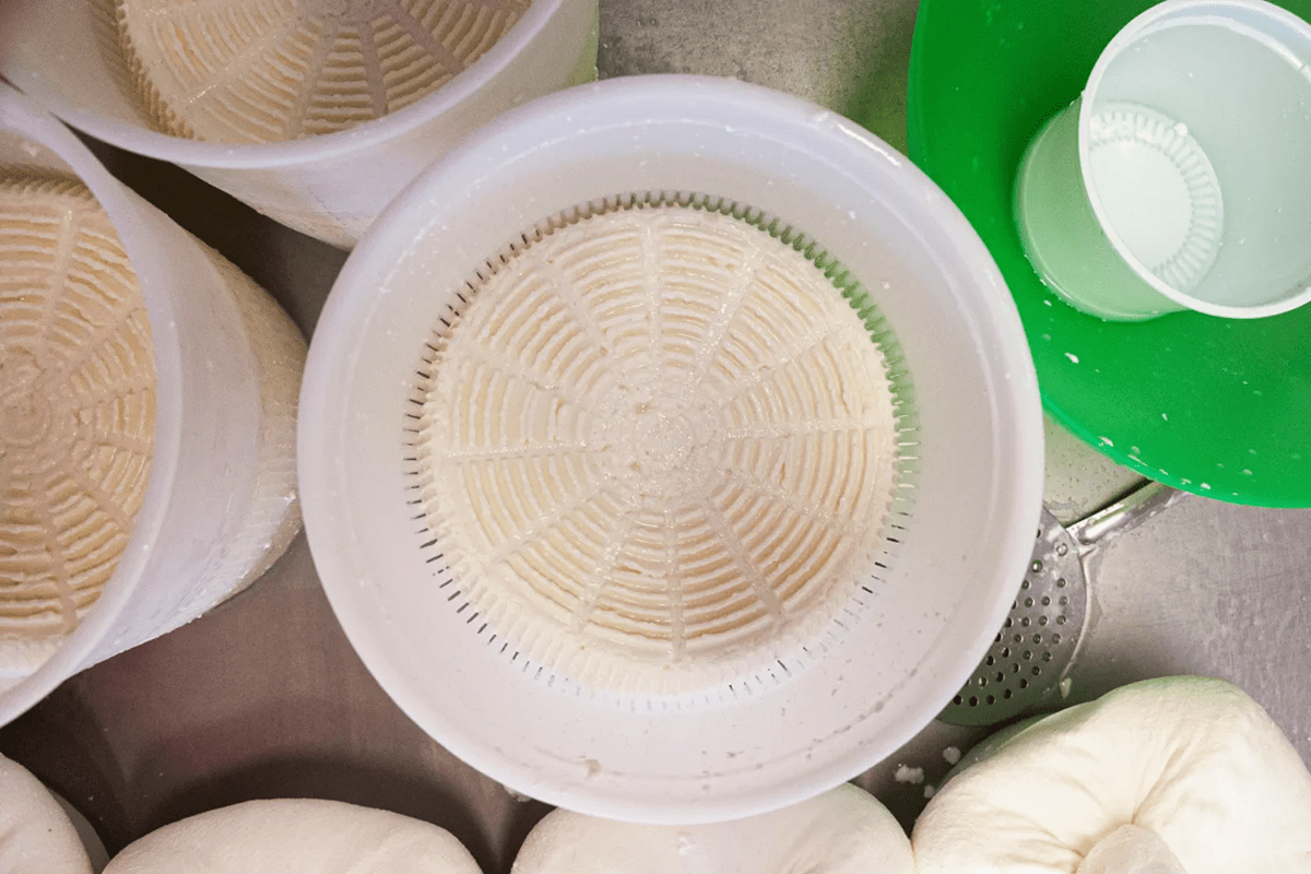 Formaggio da latte ‘termizzato’ o crudo?